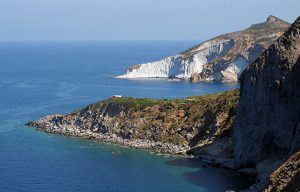 Capo bianco