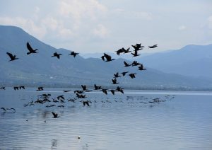 Lago di Kerkini